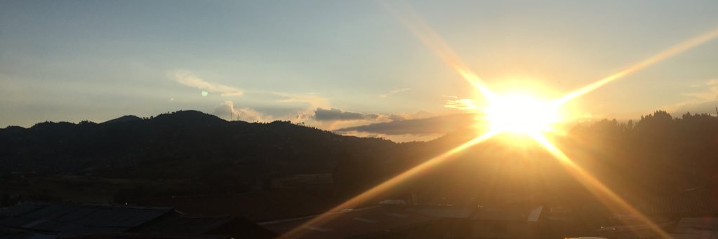 Milu_ale's profile banner image