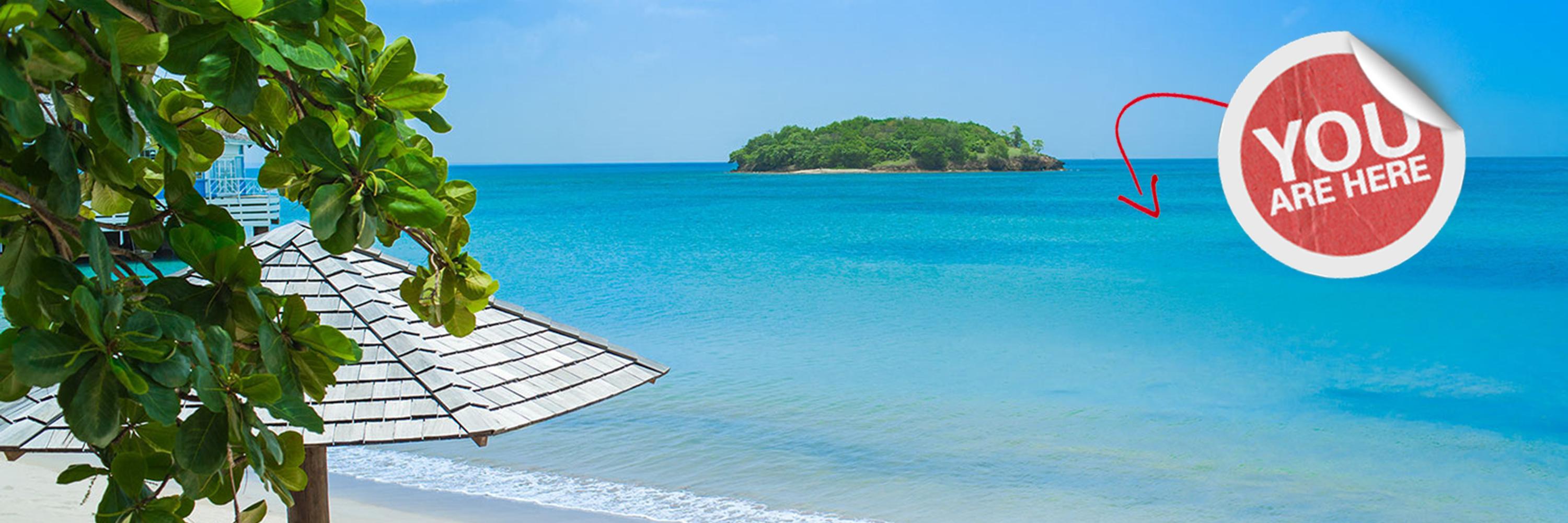 ComeDiveWithUs's profile banner image