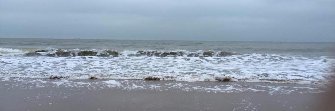 Beatrijs vd Poel banner