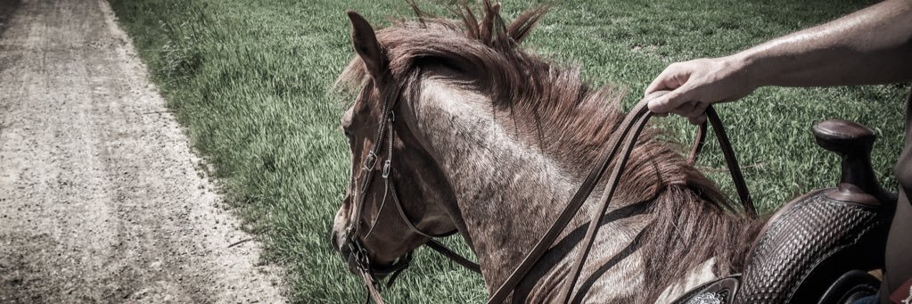 rleibl's profile banner image