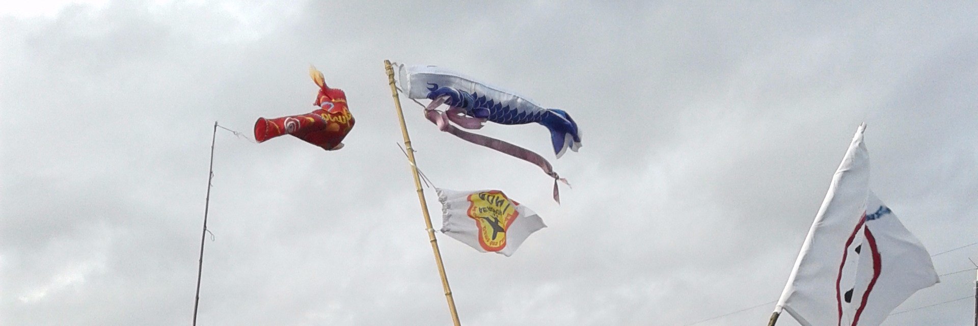 Hervé44 banner