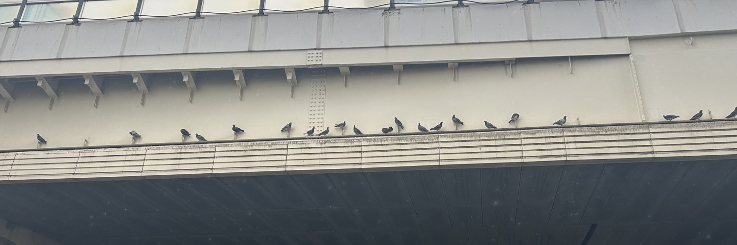 踊り食いサブ's banner