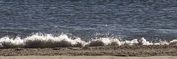 sandpiperDE Profile Banner