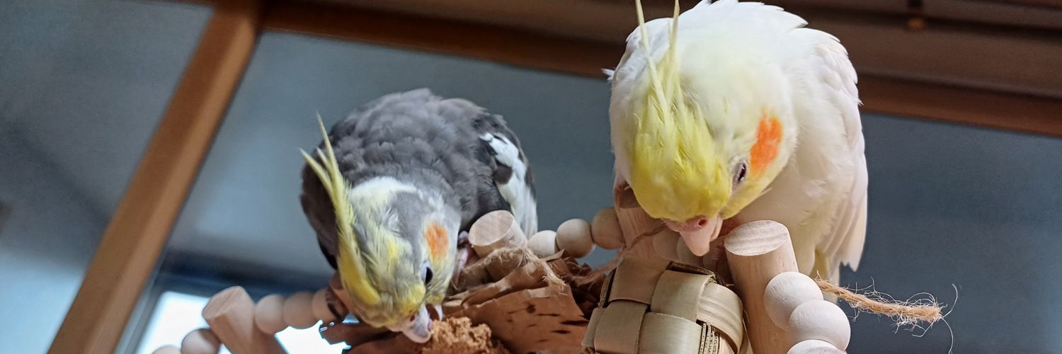 새이름쭈이 banner