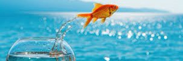 627devlab Profile Banner