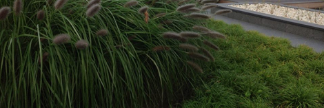 VECLAU's profile banner image