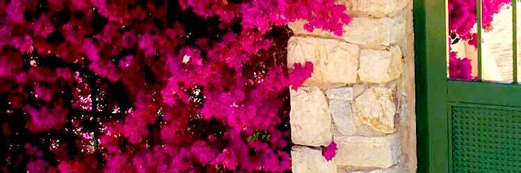 LinneaLindfeldt's profile banner image