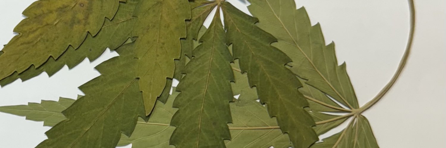 Debbie “Do Anything” Gooch banner