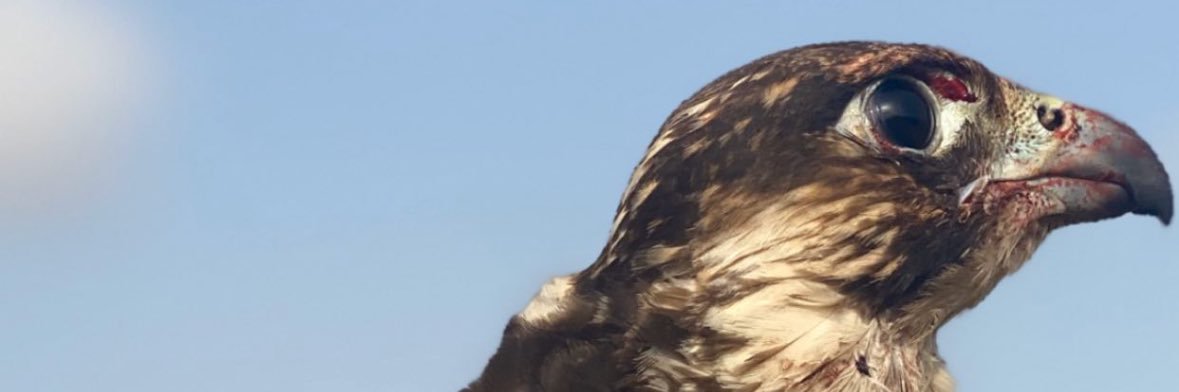 3sgq8's profile banner image