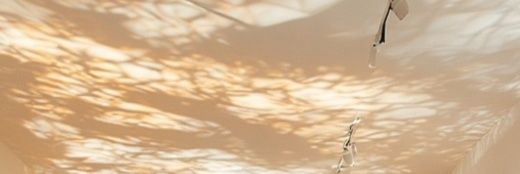 Palestinerose banner