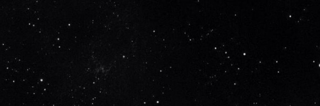 W banner