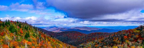 RidgeBlueRanch Profile Banner