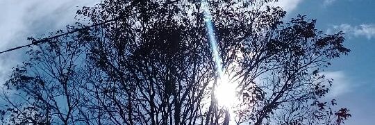 asanuna_a's profile banner image