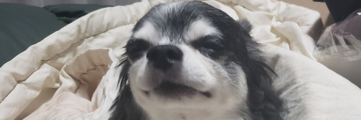 HeresyToxic's profile banner image