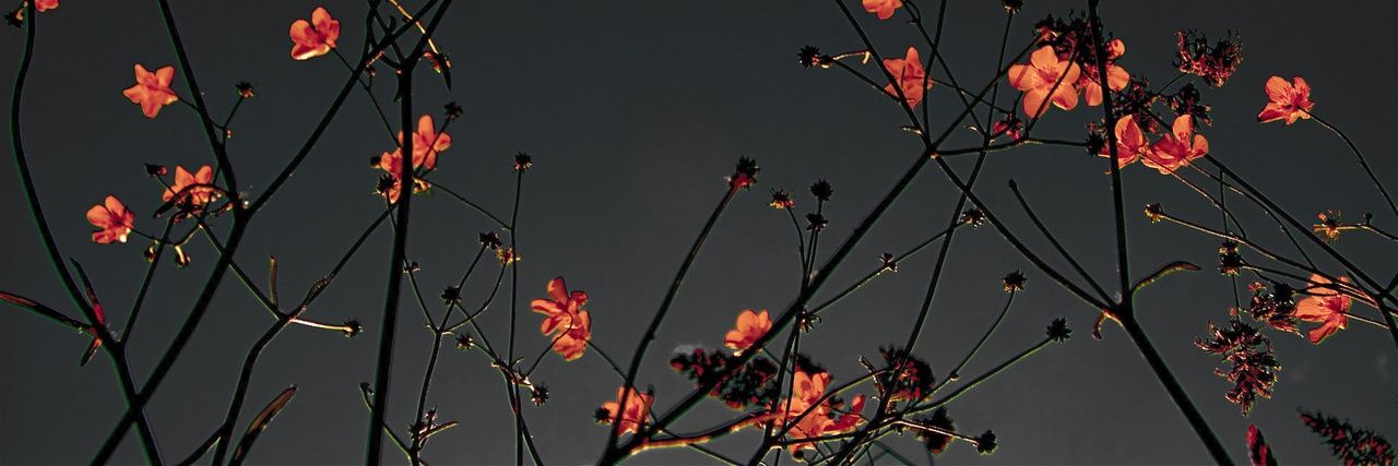 Felafejjel's profile banner image