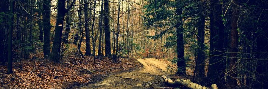 Jorge_Dobon's profile banner image
