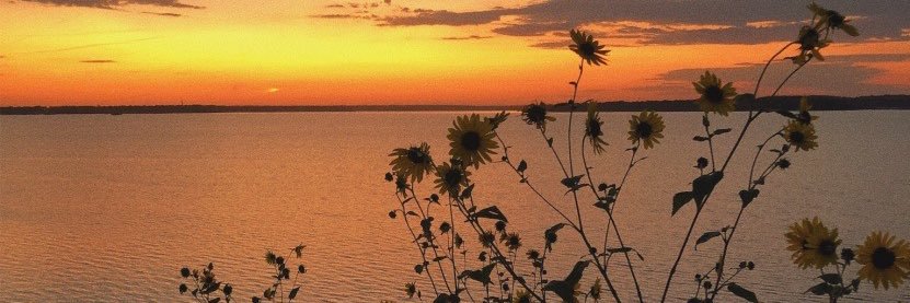 macyhoffmann_'s profile banner image