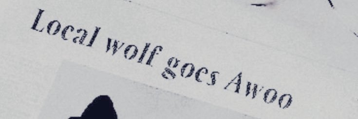 Cezar 🐺 banner