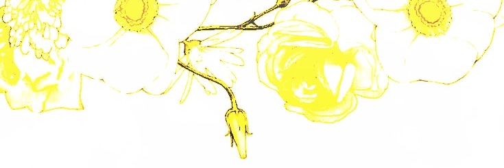 ‍ ‍ ⚡︎ ‍𝐍͟𝐀𝐌𝐈𝐊𝐀𝐙𝐄 . banner