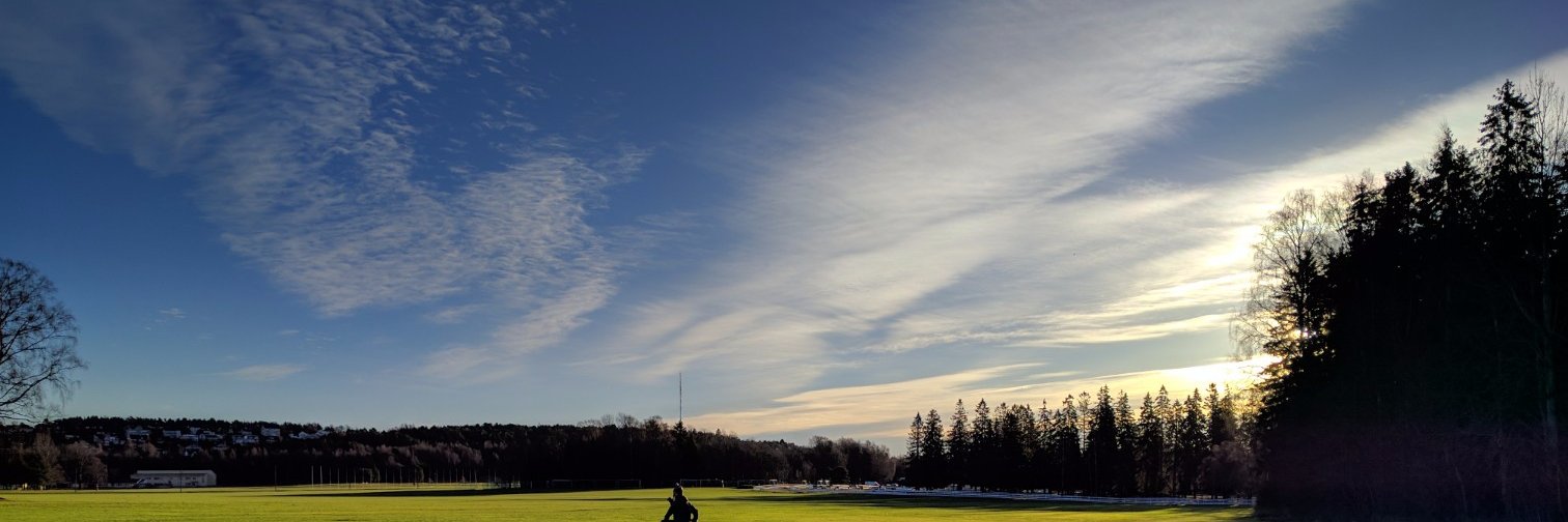 Heidi Ertzeid banner