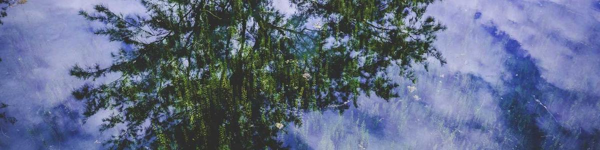 CarterTama55370's profile banner image