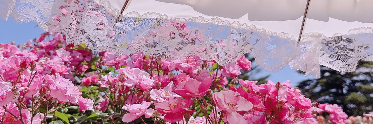 𝑐ℎ𝑒𝑟𝑟𝑦 ໒꒱·̩͙⋆.*･ﾟ banner