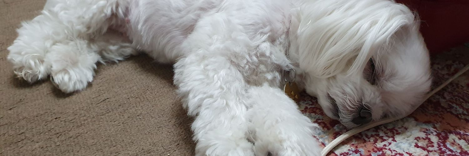 Hi_Noguchi | 株式会社きみより代表 banner