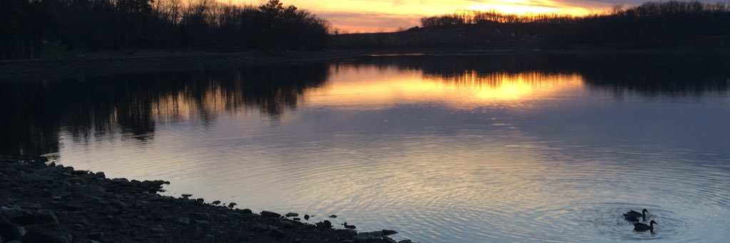 chloemaee97's profile banner image