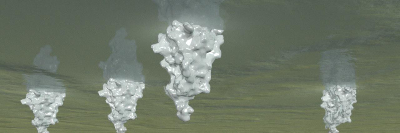 Prof Cait MacPhee banner