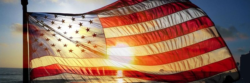 Little Mac 🇺🇸 🇺🇦 🇵🇸 banner
