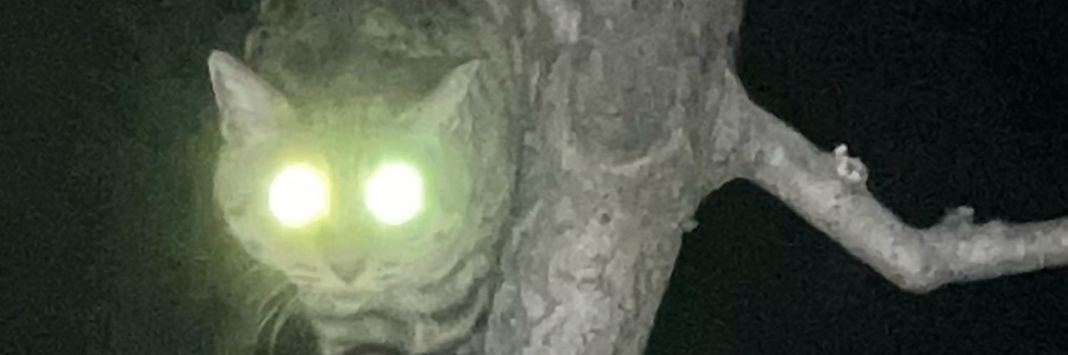 KJ_KI92's profile banner image