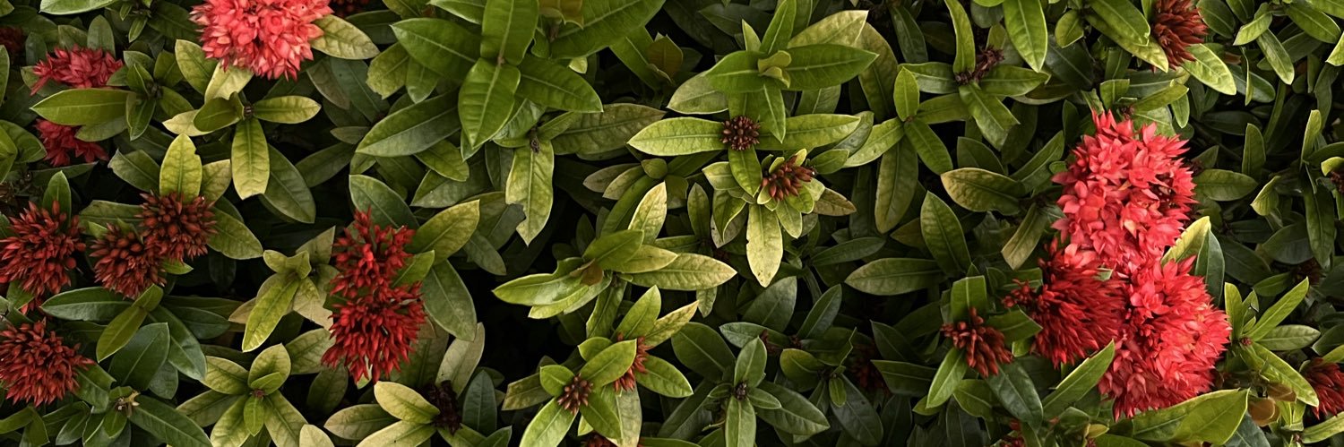 r banner