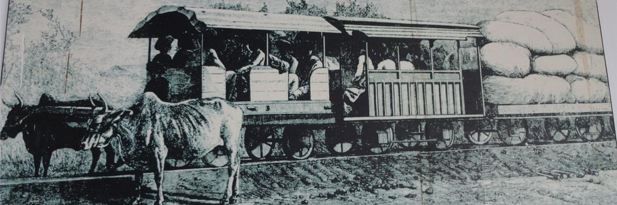 Parag Dave (Modi Ka Parivar) banner