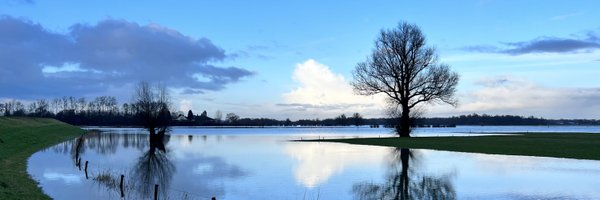 bea_draaisma Profile Banner