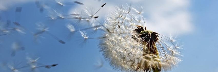 Gary M. Anderson banner
