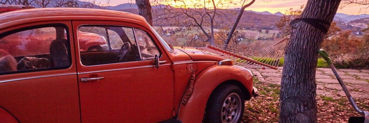 DuchshererTanya's profile banner image