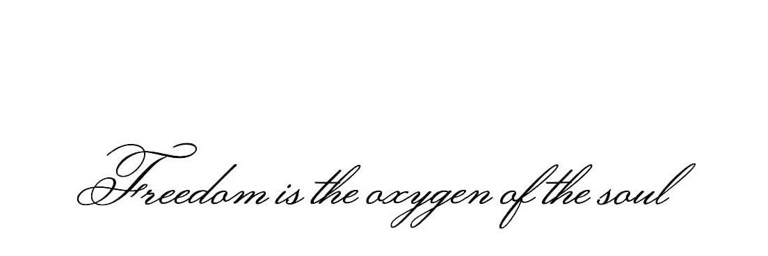 t_anasauruss's profile banner image