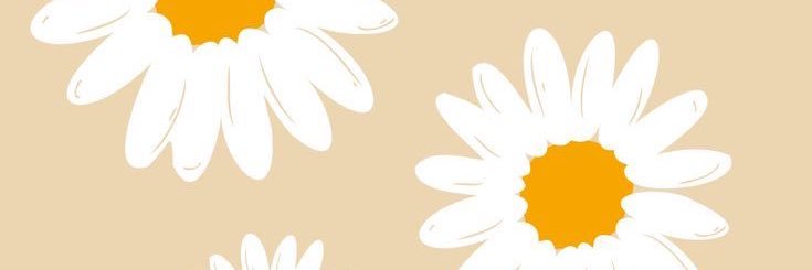 brenda_romiris's profile banner image