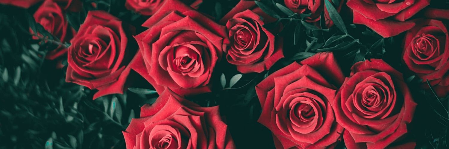 Danilasol_'s profile banner image