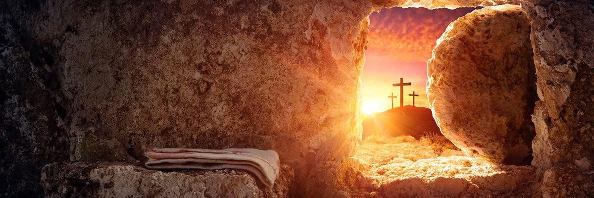 GlobalGoodNews banner