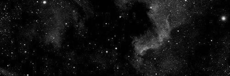 OctuAlgo's profile banner image