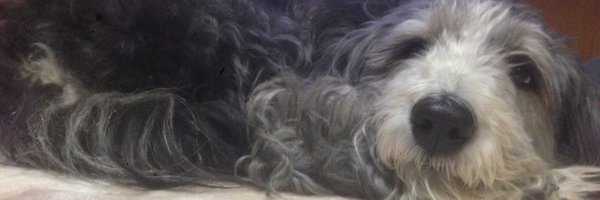 hirotyaaaam Profile Banner