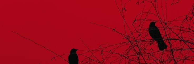 Payam banner