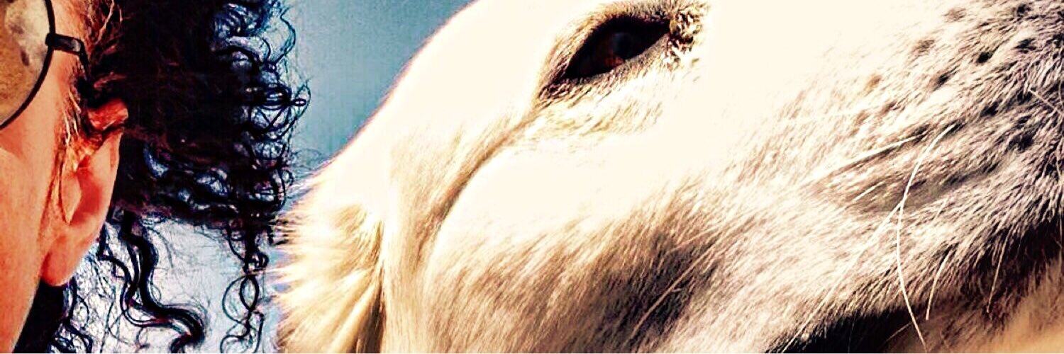 sedefmb's profile banner image