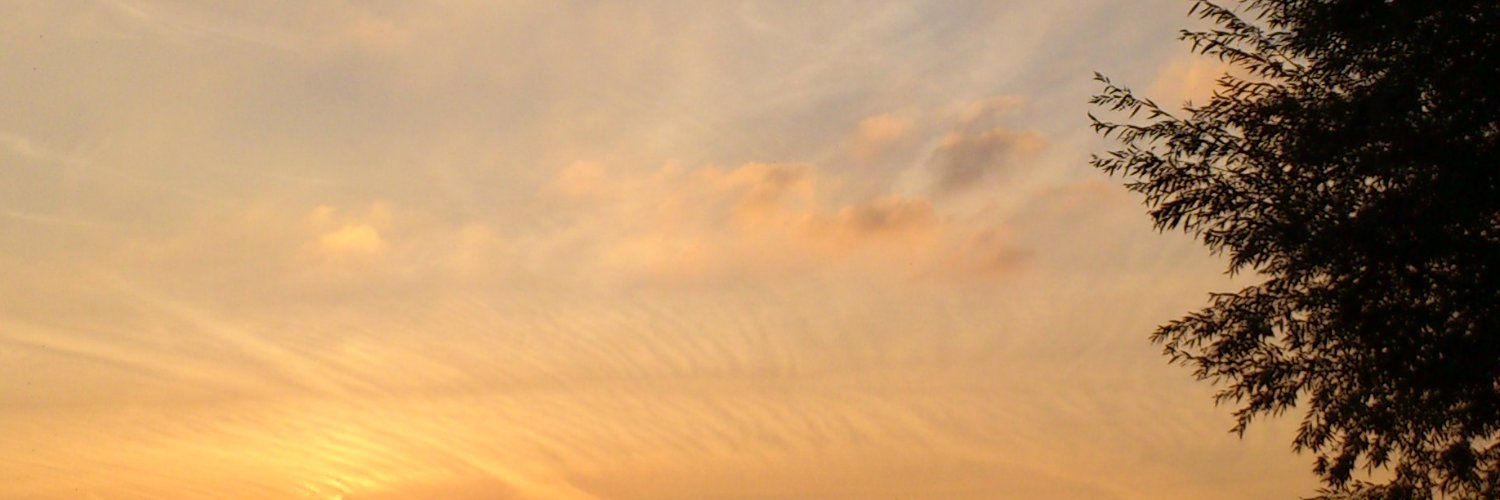 elekabele's profile banner image