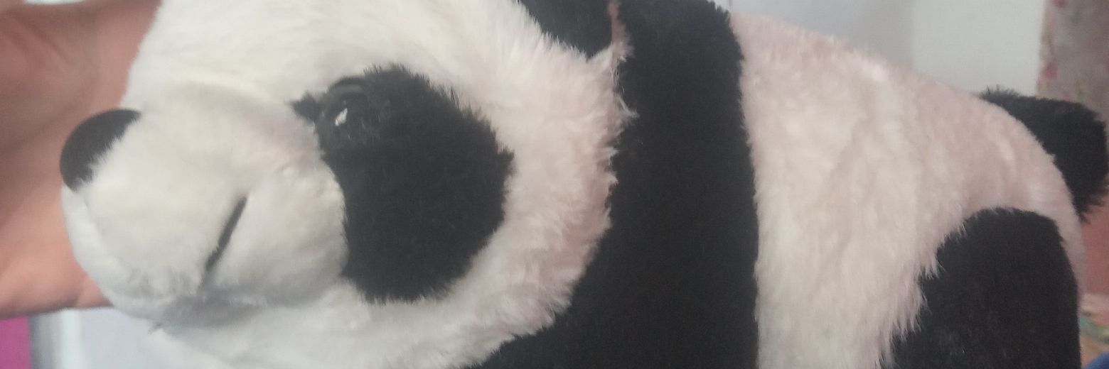 Celleste s2 banner