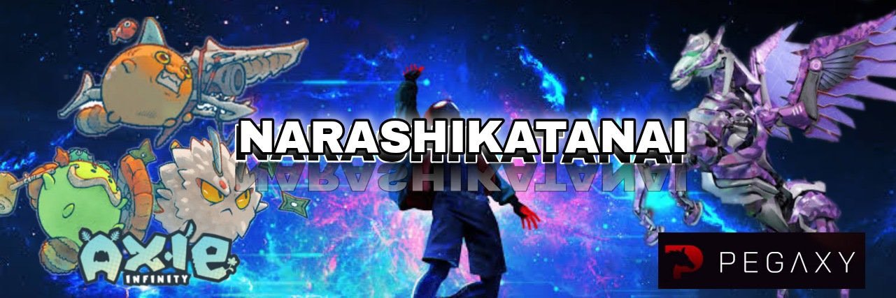 narashikatanai's profile banner image