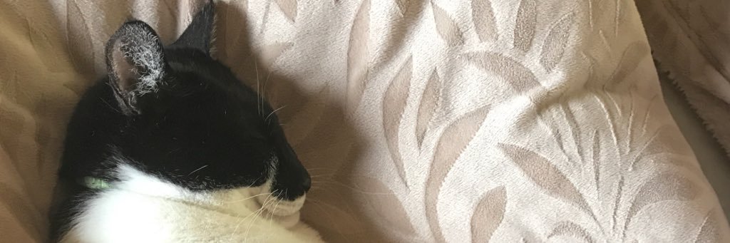tomiz00's profile banner image