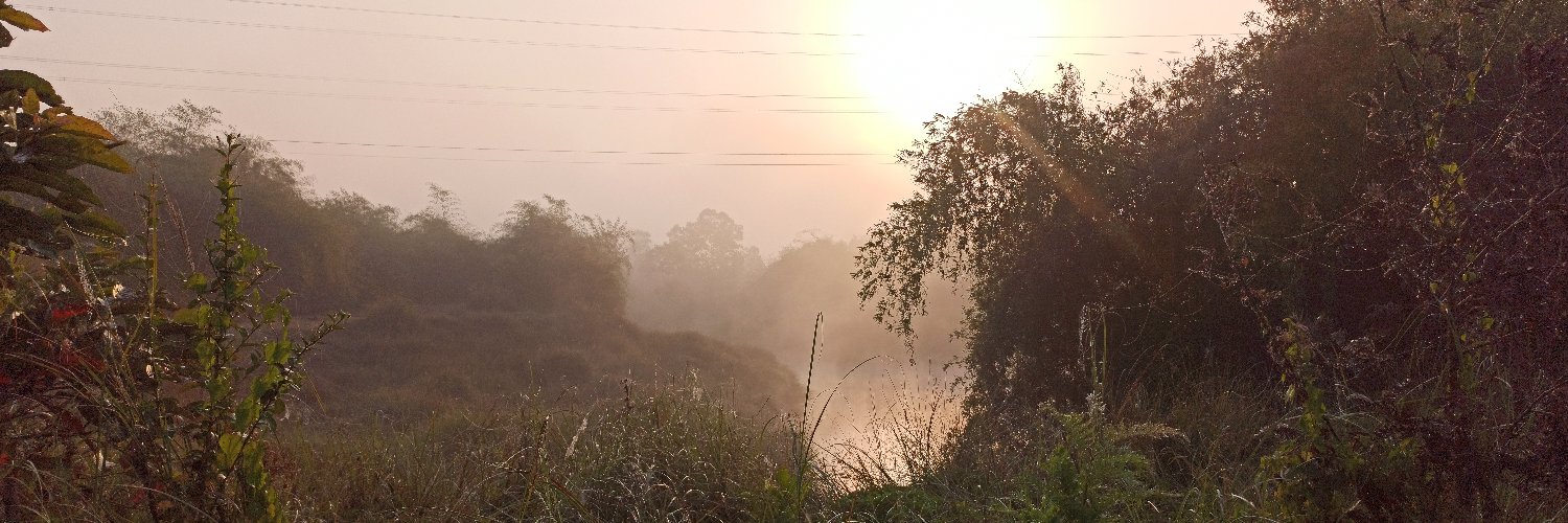 probosckie's profile banner image