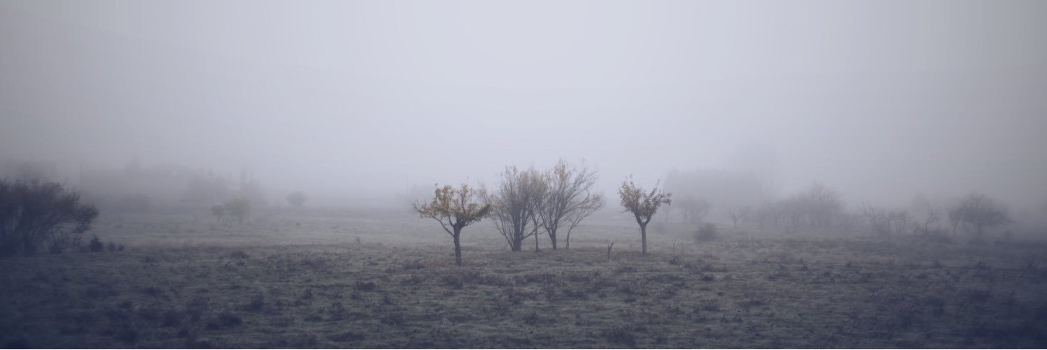 xavisaavedra's profile banner image